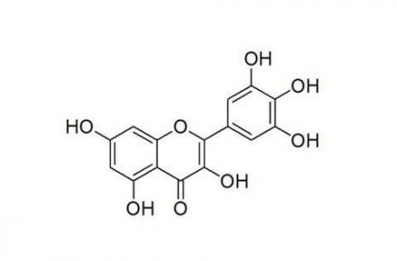 中國科學家發(fā)現(xiàn)楊梅素可促進造血