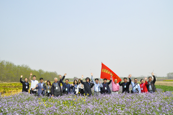 走進(jìn)“孤島”系列報(bào)道之以槐為媒，大報(bào)大刊共赴“孤島”共話文化興鎮(zhèn)