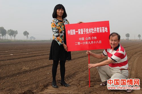 山西省牡丹園“首屆迎新春牡丹鮮花展”完美收官