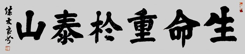 練友良書(shū)法作品——眾志成城 抗擊肺炎主題網(wǎng)絡(luò)書(shū)畫(huà)攝影展優(yōu)秀作品