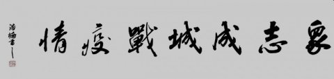 李浩楠書法作品——眾志成城 抗擊肺炎主題網(wǎng)絡(luò)書畫攝影展優(yōu)秀