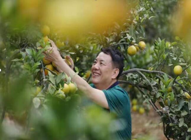 柴時(shí)鐘：今日泰雅學(xué)子 ?明日祖國棟梁