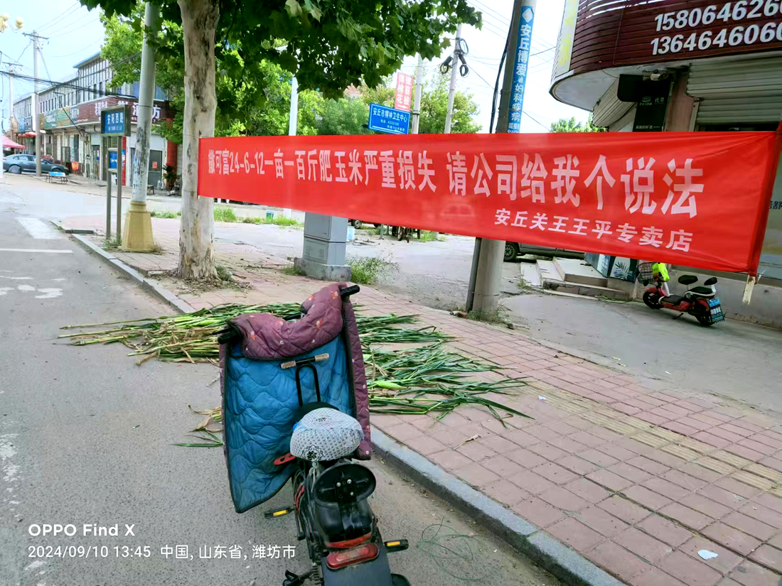 山東安丘:施用撒可富肥料，造成110畝玉米幾近絕產(chǎn) 農(nóng)戶質(zhì)疑質(zhì)量有問題